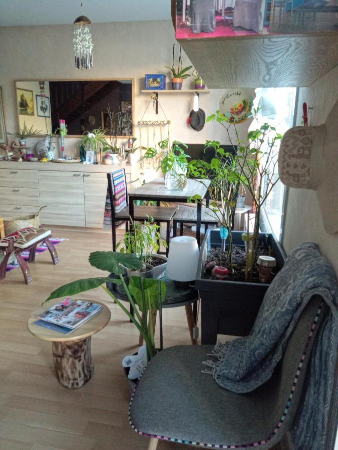 Vivaldi Bed & Breakfast ตูลูส ภายนอก รูปภาพ