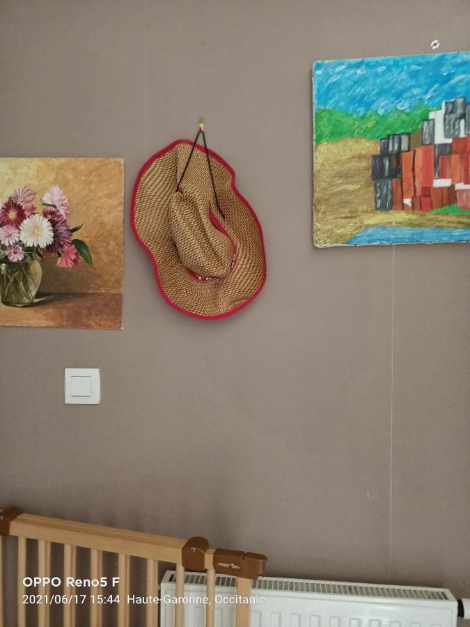 Vivaldi Bed & Breakfast ตูลูส ภายนอก รูปภาพ