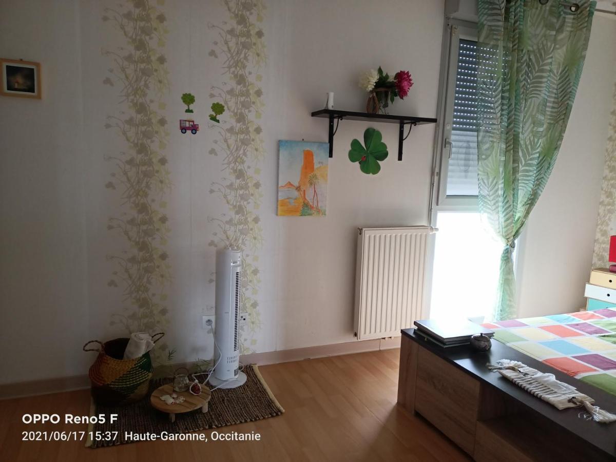 Vivaldi Bed & Breakfast ตูลูส ภายนอก รูปภาพ